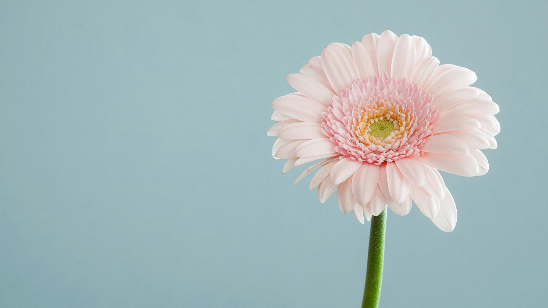 Login to your account